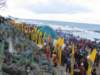 c_20090215_morsy023_small.jpg